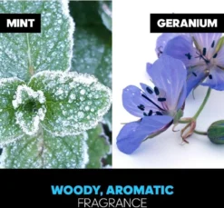 Adidas Ice Dive - 100ml - Eau De Toilette -Beroemde Parfum Winkel 1200x1113