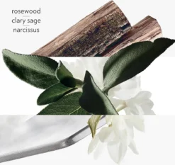 Hermes H24 Eau De Toilette Spray 50 Ml 16 Hermes H24 Eau De Toilette Spray 50 Ml -Beroemde Parfum Winkel 1200x1133 2