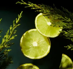 RITUALS Life Is A Journey - Homme Car Perfume - 6 Ml 9 RITUALS Life Is A Journey - Homme Car Perfume - 6 Ml -Beroemde Parfum Winkel 1200x1136 4