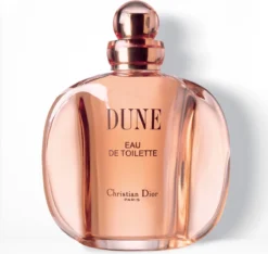 Dior Dune 100 Ml - Eau De Toilette - Damesparfum -Beroemde Parfum Winkel 1200x1138