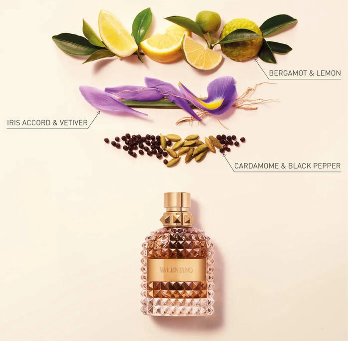 Valentino Uomo Eau De Toilette Spray 100 Ml 2 Valentino Uomo Eau De Toilette Spray 100 Ml - Afbeelding 2