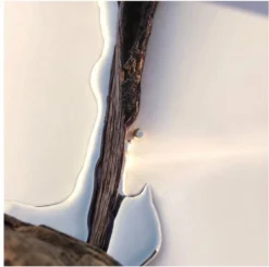 Hugo Boss Alive 80 Ml - Eau De Parfum - Damesparfum 11 Hugo Boss Alive 80 Ml - Eau De Parfum - Damesparfum -Beroemde Parfum Winkel 1200x1188 4