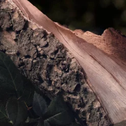 Chloé Chloé Naturelle Eau De Parfum - 30 Ml 24 Chloé Chloé Naturelle Eau De Parfum - 30 Ml -Beroemde Parfum Winkel 1200x1200 215