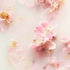 RITUALS Life Is A Journey - Sakura Car Perfume - 6 G -Beroemde Parfum Winkel 1200x1200 272