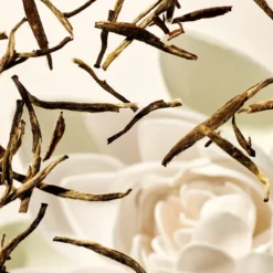 RITUALS Life Is A Journey - Karma Car Perfume - 6 G 5 RITUALS Life Is A Journey - Karma Car Perfume - 6 G -Beroemde Parfum Winkel 1200x1200 275