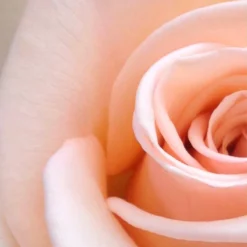 Spider-Man Geschenkset - Eau De Toilette 100 Ml & Douchegel 60 Ml - Met Toilettas 18 Spider-Man Geschenkset - Eau De Toilette 100 Ml & Douchegel 60 Ml - Met Toilettas -Beroemde Parfum Winkel 1200x1200 326