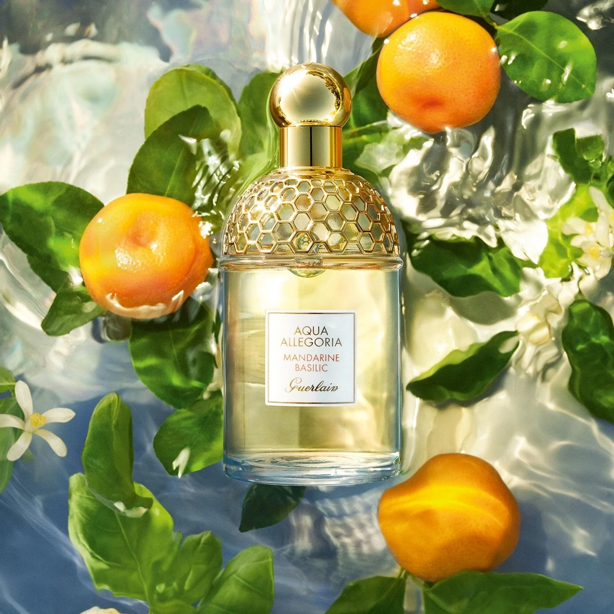 Guerlain Aqua Allegoria Mandarine Basilic Eau De Toilette 75ml 2 Guerlain Aqua Allegoria Mandarine Basilic Eau De Toilette 75ml - Afbeelding 2