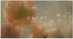 Gucci Bloom 100 Ml - Eau De Parfum - Damesparfum -Beroemde Parfum Winkel 1200x641