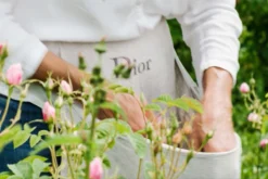 Miss Dior Absolutely Blooming 50 Ml - Eau De Parfum - Damesparfum -Beroemde Parfum Winkel 1200x800 9