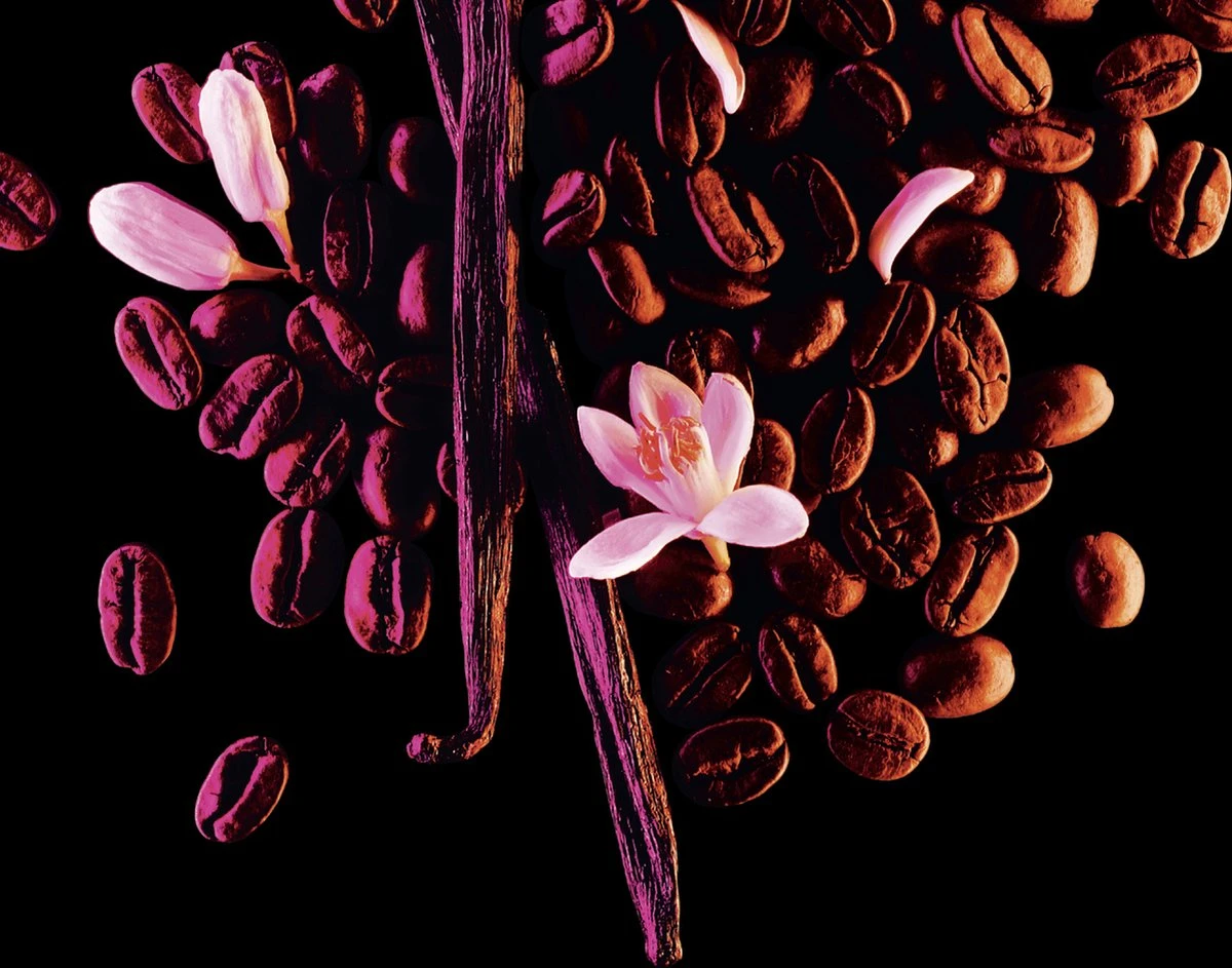 Yves Saint Laurent Black Opium 30 Ml - Eau De Parfum - Damesparfum 4 Yves Saint Laurent Black Opium 30 Ml - Eau De Parfum - Damesparfum - Afbeelding 4