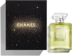 Chanel N°19 Poudré 100 Ml - Eau De Parfum - Damesparfum -Beroemde Parfum Winkel 1200x948