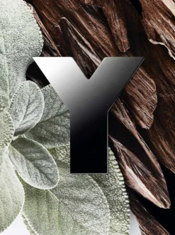 Yves Saint Laurent Y 60 Ml - Eau De Parfum - Herenparfum 39 Yves Saint Laurent Y 60 Ml - Eau De Parfum - Herenparfum -Beroemde Parfum Winkel 899x1200 7