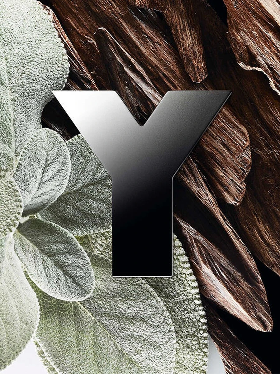 Yves Saint Laurent Y 60 Ml - Eau De Parfum - Herenparfum 20 Yves Saint Laurent Y 60 Ml - Eau De Parfum - Herenparfum - Afbeelding 20