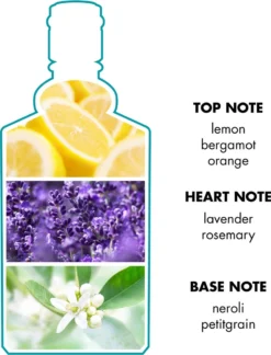 4711 - 800 Ml - Eau De Cologne – Flacon -Beroemde Parfum Winkel 914x1200 1